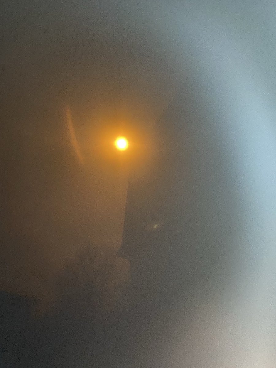 Pippa Lock tweet media