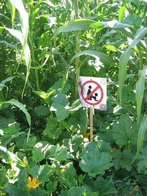 Ankara Masör (@06ankaramasor) on Twitter photo 