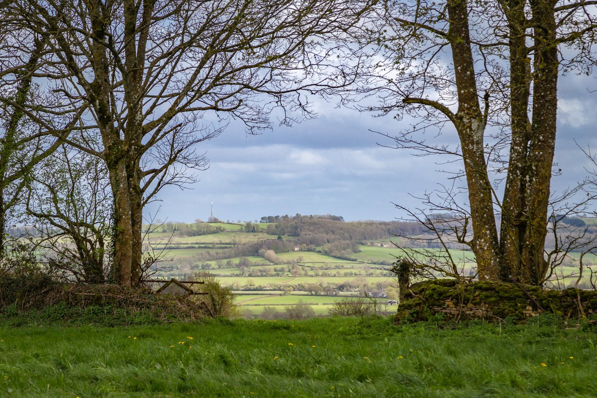 Somewhere in the #Cotswolds...  @CotswoldsNL @CanonUKandIE @ThePhotoHour #appicoftheweek #loveukweather #Sharemondays2024 #fsprintmonday #WexMondays