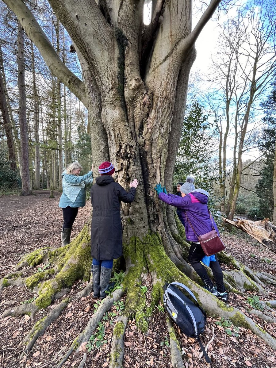 Fancy a #digitaldetox? #delamereforest are hosting Forest Bathing Session on 17th April from 10 am offering three hours of connecting to nature natureescapes.co.uk/forestbathingw… #TakeTheTrain #forestbathing #nature #midcheshirerailwayline #daysoutbytrain @northernassist @BeeNetwork