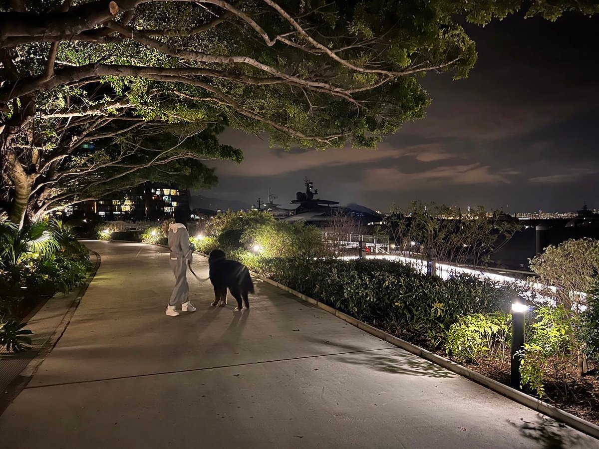 GeneraGift's tweet image. Wandering together, one step at a time.