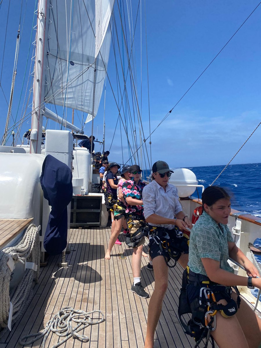 Ahoy, adventurers! We want to hear your best sea shanties! Share your favorite maritime tunes with us below and let's get singing! 🎶⚓ #SeaShantySingalong #TallShipTunes #YoungEndeavour