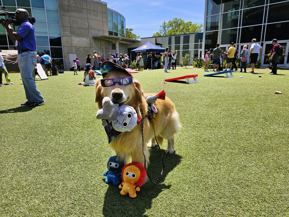 HERE. This is where I wanted to be for the #NorthAmericanEclipse. Bring it on, universe. @mositampa (Thank you, Ms. Janet & Mr. Ian!) #eclipse2024 #solareclipse #dogsoftwitter #foodallergies #dog