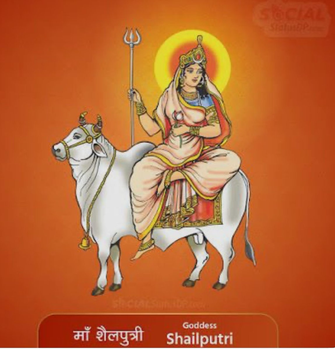 Good morning ….Greetings on the most auspicious first day of Navratri …. May Maa Shailputri Bless us all ….Jai Maa