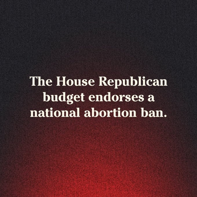 Now Trump is saying abortion bans should be up to the states. Interesting fact is the House Republican budget endorses a national abortion ban. We all know Trump lies every single time he opens his mouth. Trump is lying right now to try to win the 2024 Election. Don't fall…