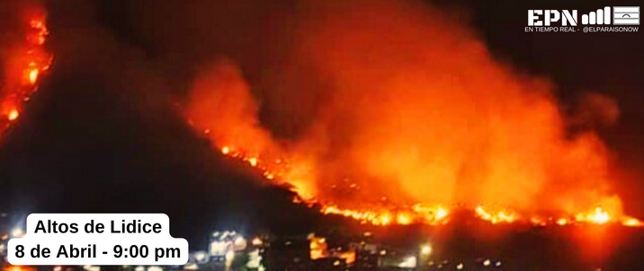 📲El Paraíso Now tweet media