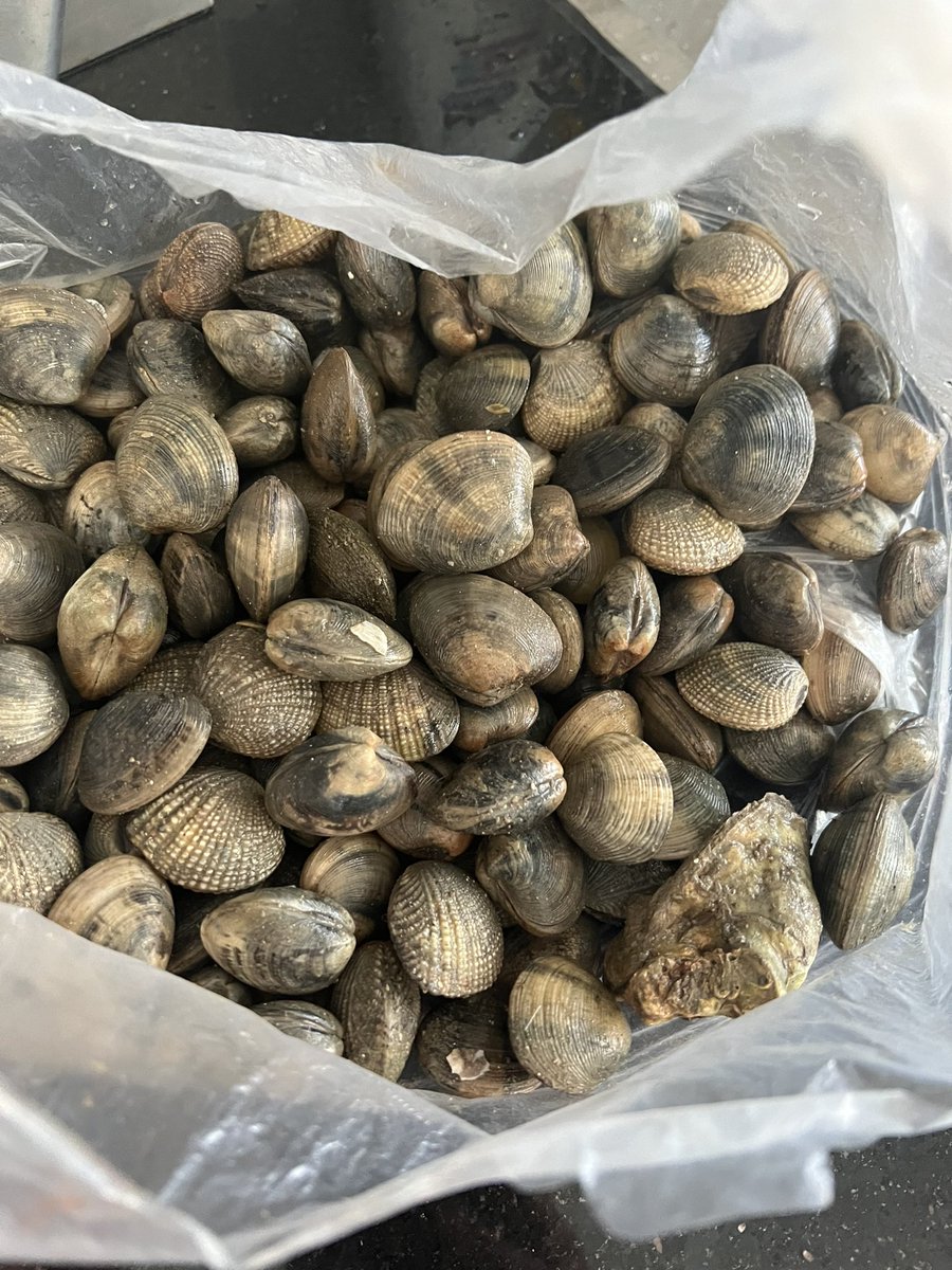 Luz Anabel Blanco tweet media