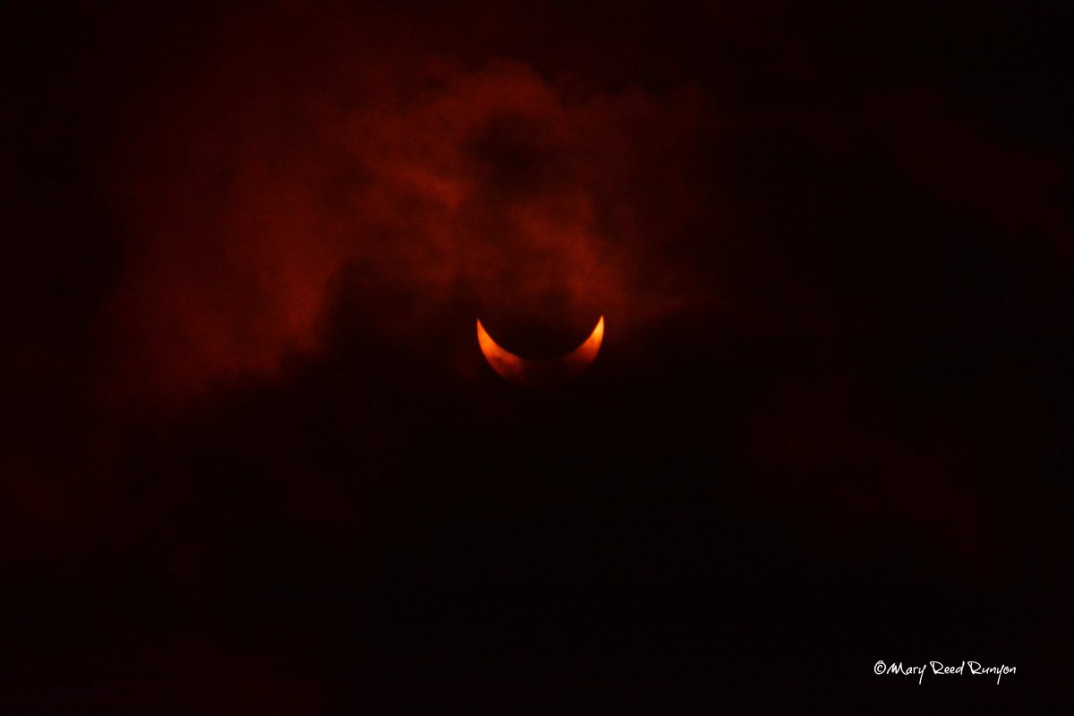 ...and this one is a little creepy! 😨 #SolarEclipse @WYMT @brobwx @WSAZBrandon @SpencerWeather @Kentuckyweather @cjwxguy56 @JoshFitzWx @JimWKYT @JimCantore @spann @weatherchannel #ekywx #kywx #sekywx #SolarEclipse2024 #Eclipse