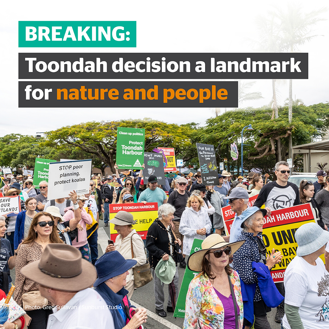 🚨 BREAKING NEWS: Environment Minister @tanya_plibersek intends to REJECT Walker Corporation’s nature-wrecking project at Toondah Harbour! 🥳🎉🎊 💚🌟And this is all thanks to you! #auspol