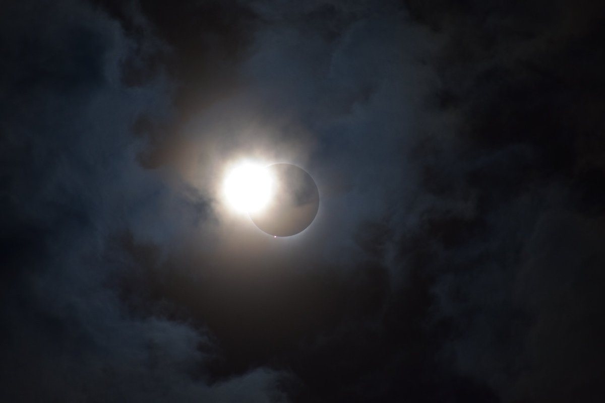 Allegheny Gators tweet media