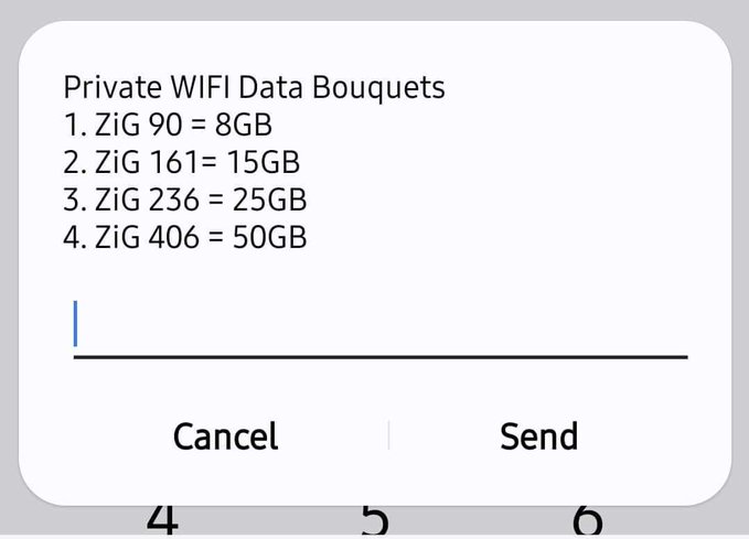 Well this is good news, its clear that the corporate world has expressed confidence and hope in our new&vibrant ZiG currency. Look at how cheaper @econetzimbabwe data bundles are in our local currency. lm certainly certain that ZiG is going to stabilise & accelerate economic