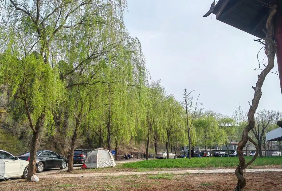 Jenny Lee tweet media