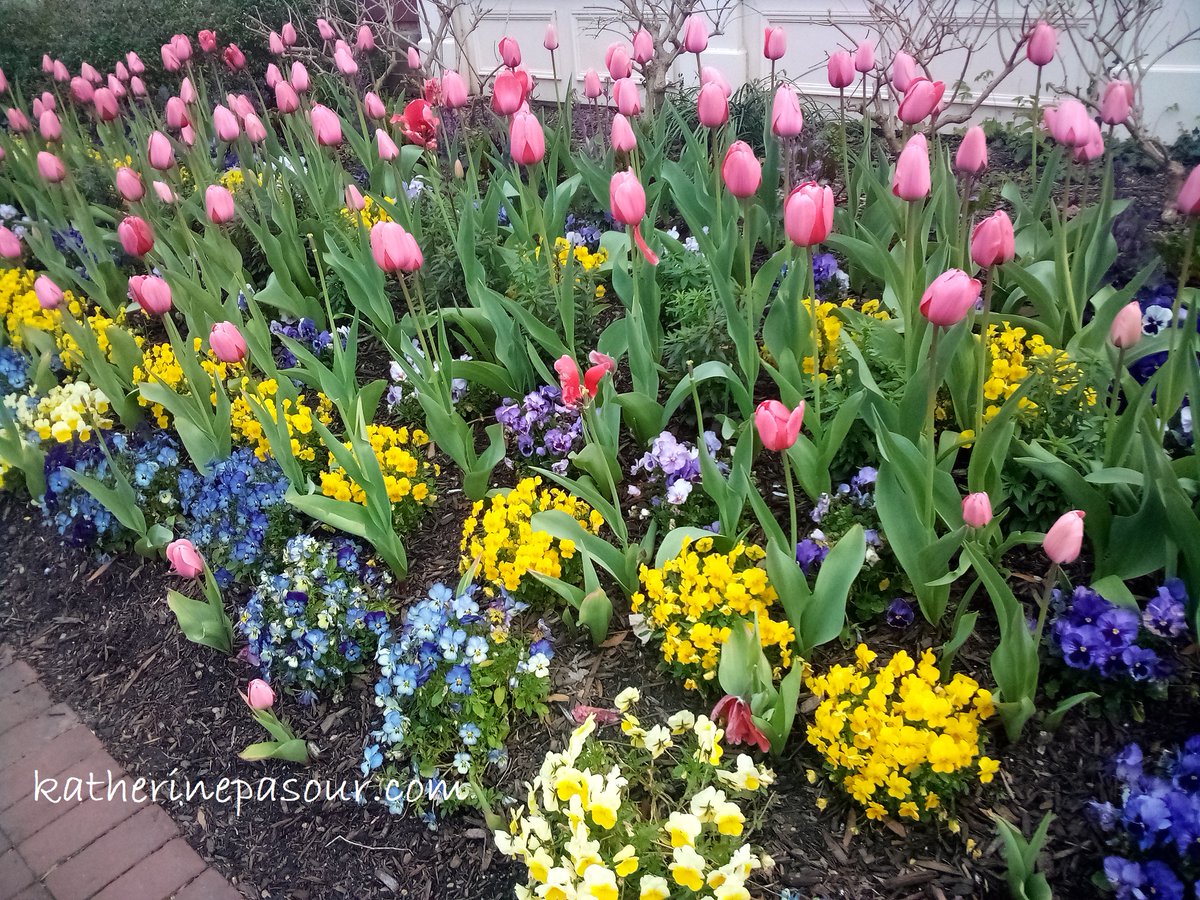 On a recent trip to Williamsburg, I found this lovely spring welcome! Wonderful to get away from the daily grind. Happy Spring! #spring #stressrelief #amwriting