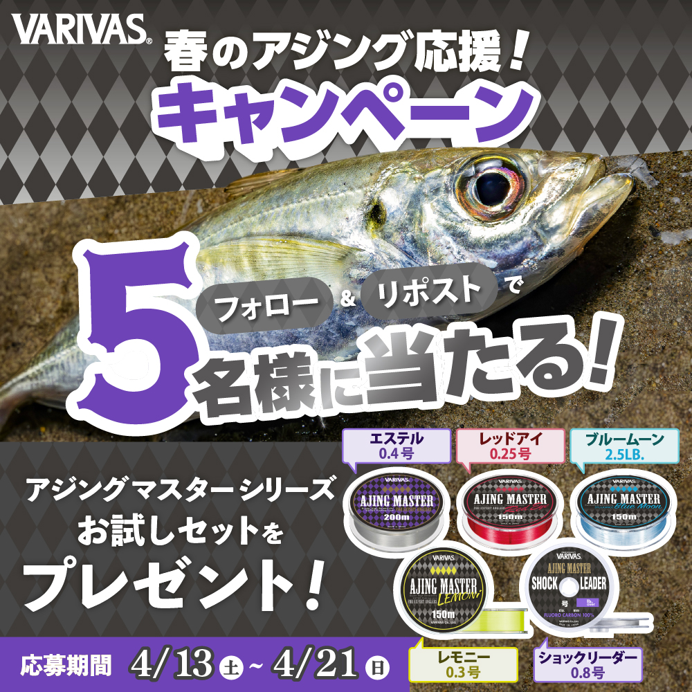 「フォロー＆リポスト」で当たる‼️  
春のアジング応援キャンペーンを開催 ✨

アジングシーズン突入に合わせ、VARIVASアジングマスターシリーズを一挙にプレゼント🎁
エステル3種とフロロカーボン、さらにショックリーダーのフルセットです！

本投稿をフォロー＆リポストでぜひご応募くださいませ😁