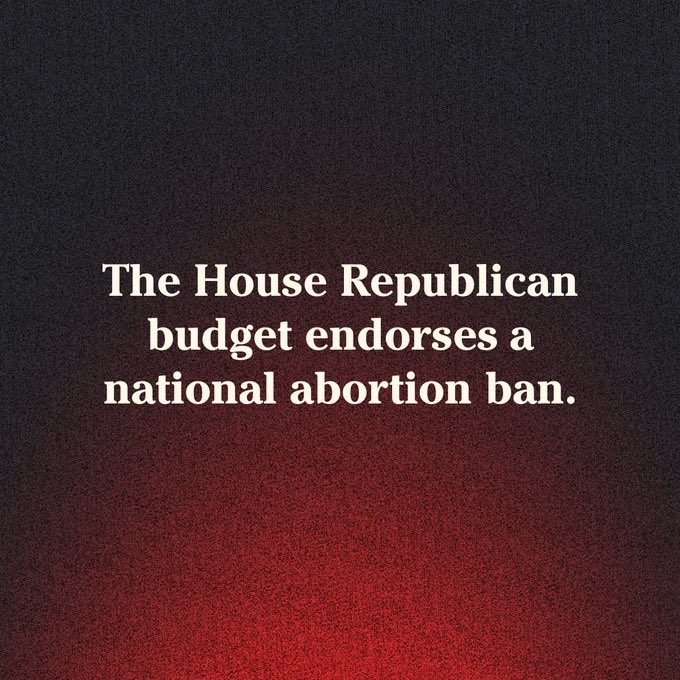 Why are Republicans so obsessed with this? They vote against EVERYTHING that will protect  children. #guns #FreeSchoolMeals #Healthcare #VoteBlueToStopTheStupid #wtpGOTV24