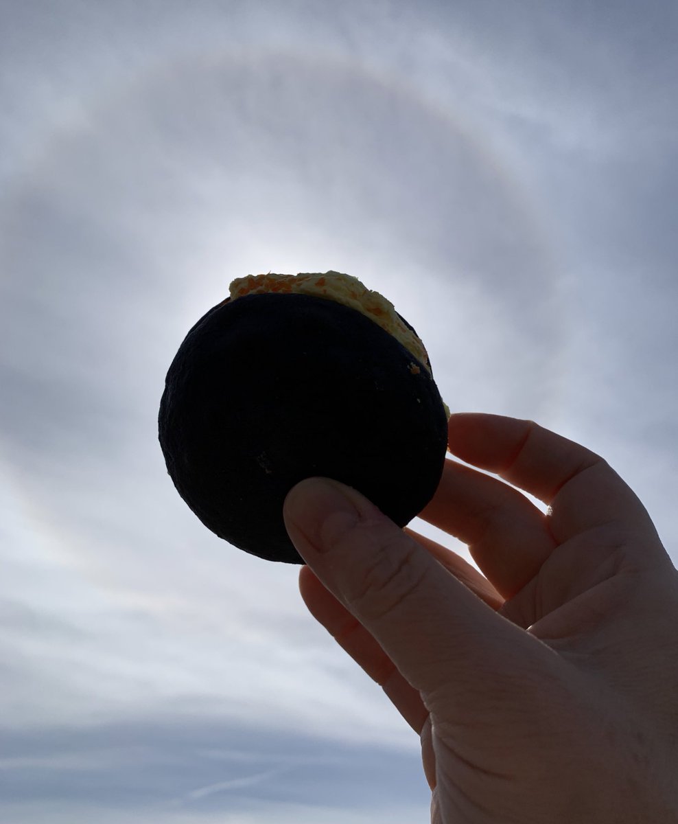 What an amazing experience, homemade eclipse pies and all! 🌚 🌞 #Vermont #Eclipse2024