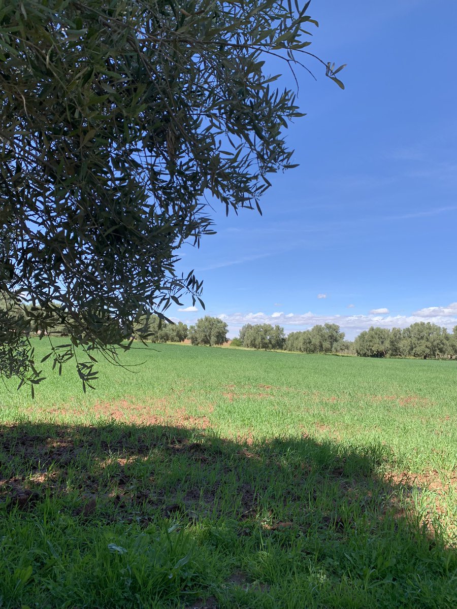 atlaoutdoor's tweet photo. A season full of nature’s delights 🍀
:
:
Contact @atlasoutdoor_morocco  to explore the best of Morocco:

🔍https://t.co/Nxu6R46KDB
:
:
:
#morocoo #spring #naturecaptures #vacation🌴 #selfdiscovery https://t.co/EvzM7mrsLN