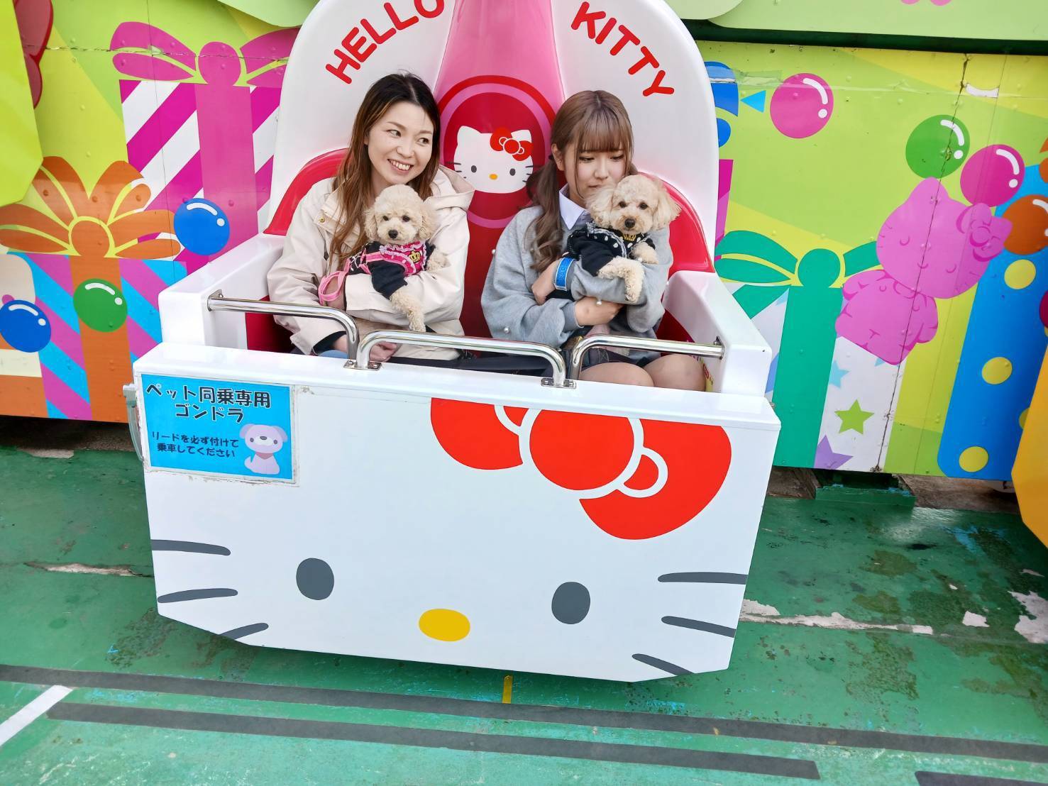 那須ハイランドパーク🎢🐶 على X: 
