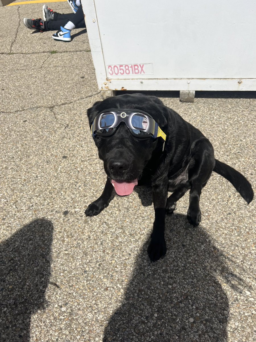 Mr. Diggle (@mister_diggle) on Twitter photo So glad I got to witness some history today😎! Solar Eclipse 24 was awesome getting to spend it with my friends <a href="/LocklandLocal/">Bob Longworth</a>! I even had the snazzy eye glasses! #diggledog #facilitydog #workingdog #solareclipse2024 #history <a href="/circletail/">Circle Tail, Inc.</a> So glad I got to witness some history today😎! Solar Eclipse 24 was awesome getting to spend it with my friends <a href="/LocklandLocal/">Bob Longworth</a>! I even had the snazzy eye glasses! #diggledog #facilitydog #workingdog #solareclipse2024 #history <a href="/circletail/">Circle Tail, Inc.</a>