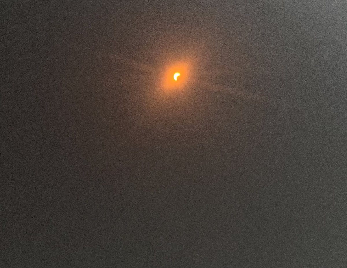 Jacob Savage tweet media