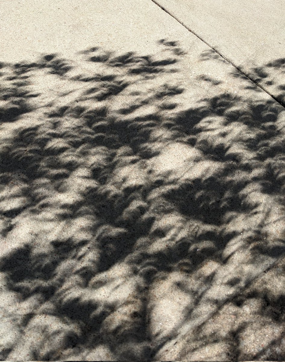 Leaf shadows during the eclipse. Time and again, nature takes my breath away. 🌒🌙🌘 Lincoln, Nebraska #Eclipse2024