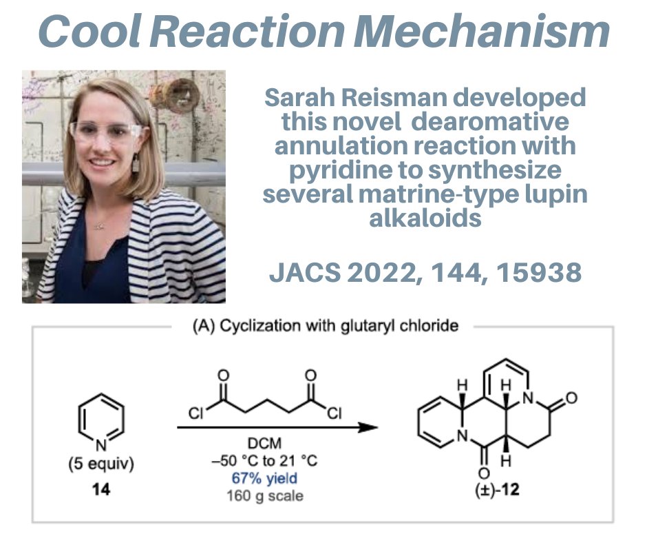 TambarLab (@tambarlab) on Twitter photo Sarah Reisman developed this novel dearomative annulation reaction with pyridine to synthesize several matrine-type lupin alkaloids. What is the mechanism of this reaction? Courtesy of postdoctoral fellow Melanie Rodriguez <a href="/Mel_1090/">Melanie Rodriguez</a> <a href="/BeyondCCHF/">The Catalysis Innovation Consortium</a> Sarah Reisman developed this novel dearomative annulation reaction with pyridine to synthesize several matrine-type lupin alkaloids. What is the mechanism of this reaction? Courtesy of postdoctoral fellow Melanie Rodriguez <a href="/Mel_1090/">Melanie Rodriguez</a> <a href="/BeyondCCHF/">The Catalysis Innovation Consortium</a>