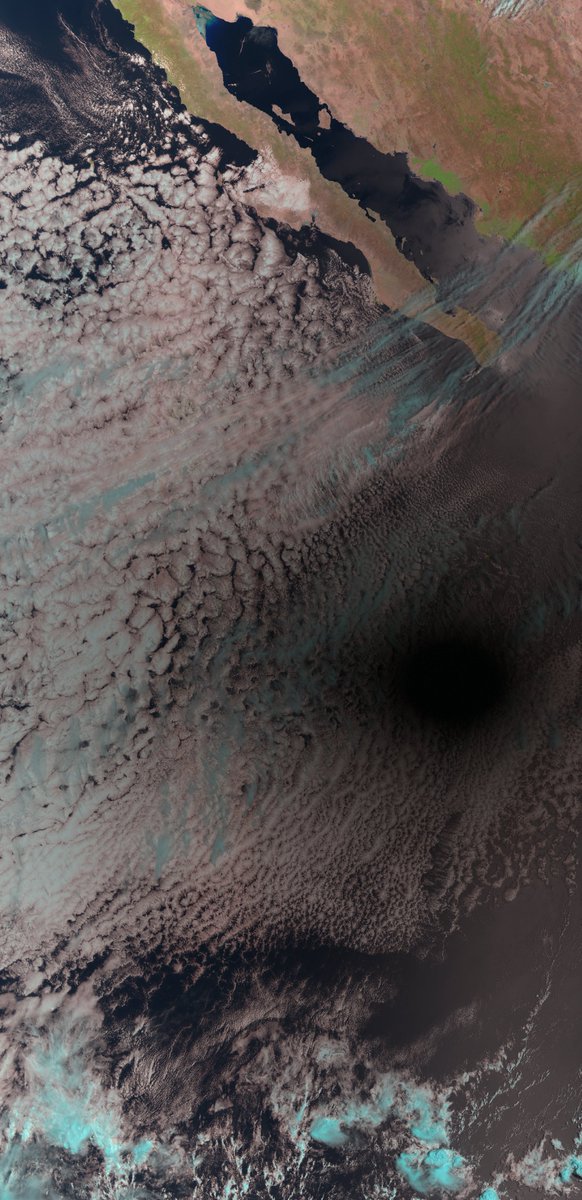 Today's #Eclipse was even seen from space by the @CopernicusEU Sentinel-3B satellite as it flew over Baja California. The moon's shadow looks like a black hole on the Earth, an area of nothingness surrounded by clouds and ocean.