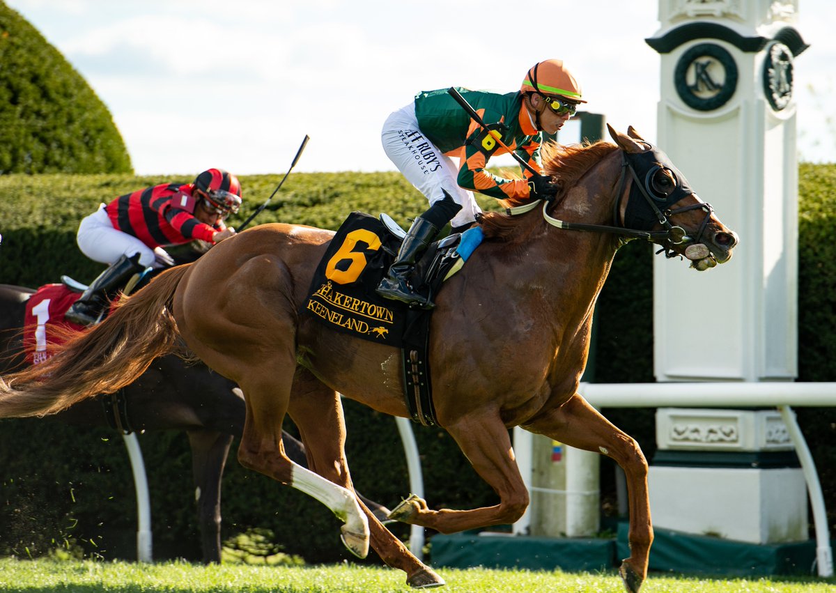 A long vacation was just the trick needed for MGSW ARZAK who returned to form and kicked off his six-year-old campaign with a victory in the Grade 2 Shakertown Stakes @keenelandracing on Saturday. 📸 @roguewolf007