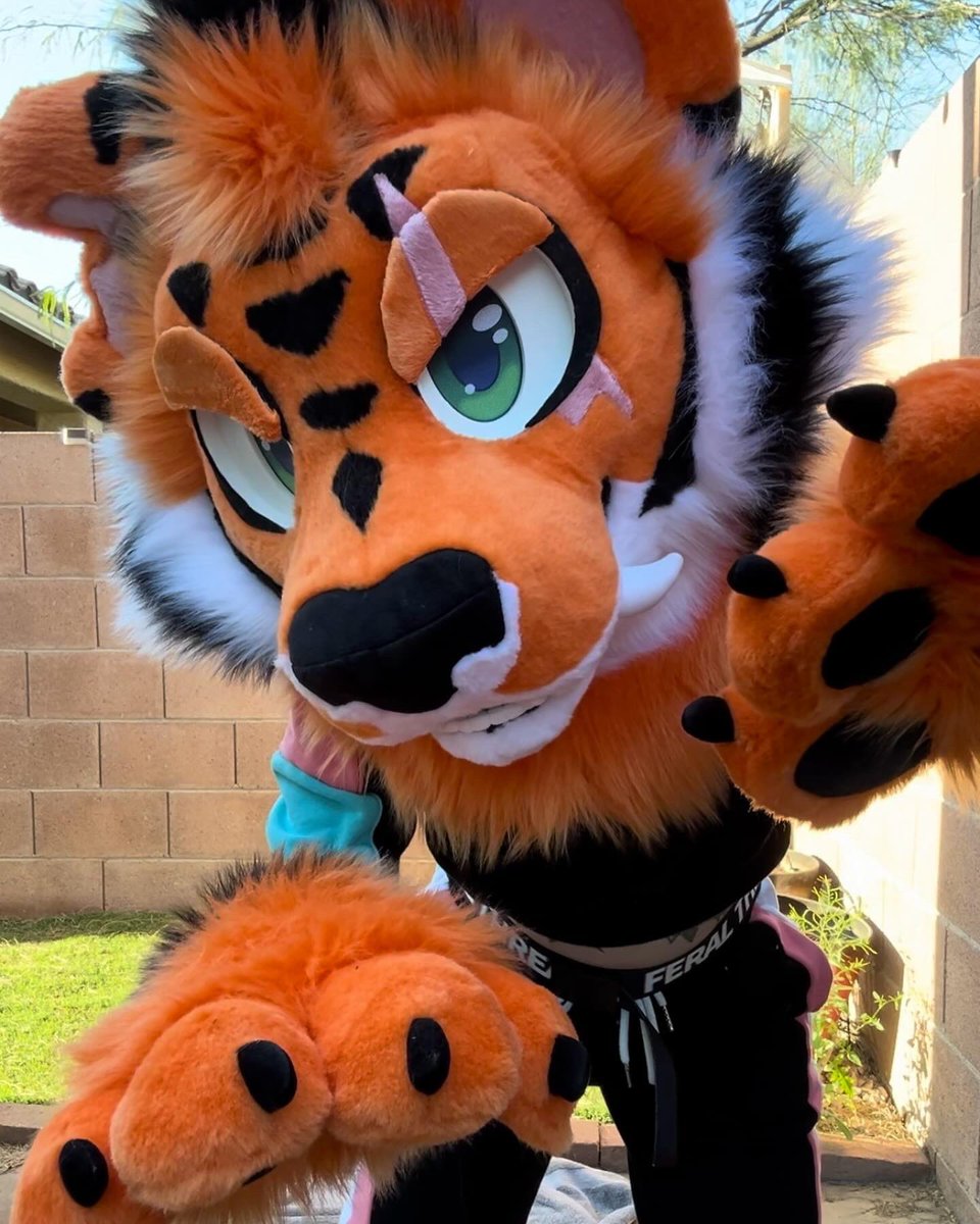 Koa the saber tooth tiger is all complete! This might be one of my most complex heads to date and I’m so excited with the outcome 🧡🖤 Did you know I have a Patreon with free tier, $1 tier, and $5 tier? Link in bio! Sweat suit and belt by @FeralThreadsCo