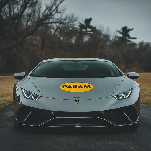 0xSolpreme's tweet photo. @ParamLaboratory I’m ready for that juicy $Param drop! Lfg https://t.co/Q1zQBurQ3j