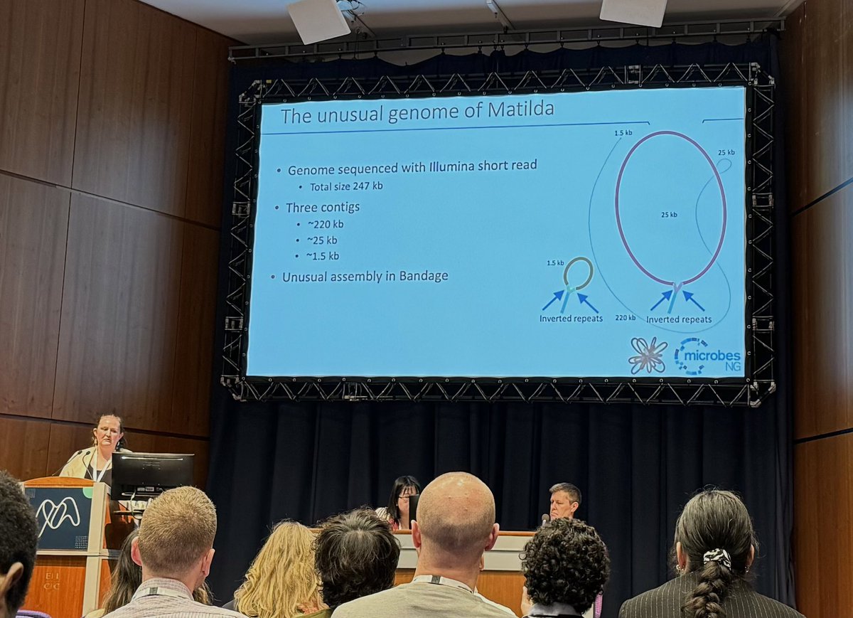 Nathan Burton (@phageburton) on Twitter photo Excellent talk by <a href="/JessicaLewisMic/">Jessica Lewis</a> at #Microbio24 today. Is there a hero out there that can help with her strange multi contig phage genome?! Excellent talk by <a href="/JessicaLewisMic/">Jessica Lewis</a> at #Microbio24 today. Is there a hero out there that can help with her strange multi contig phage genome?!