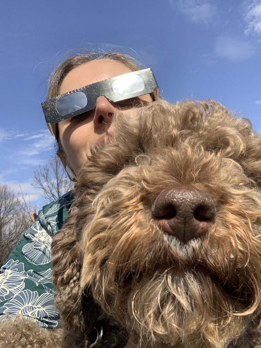 Even though the dog had limited interest in celestial phenomena, he was the best companion #Eclipse2024