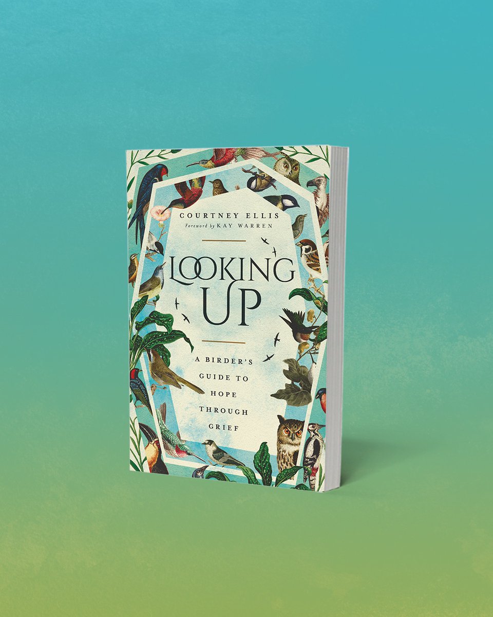 Just a few more hours to preorder your copy of Looking Up so you can receive your personalized #BadlyDrawnBird!

It’s a fun little gift for preorders only. 💗🦆🎉

Sign up here: docs.google.com/forms/d/e/1FAI…