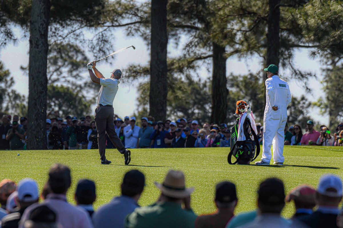 Cameron Lilly tweet media