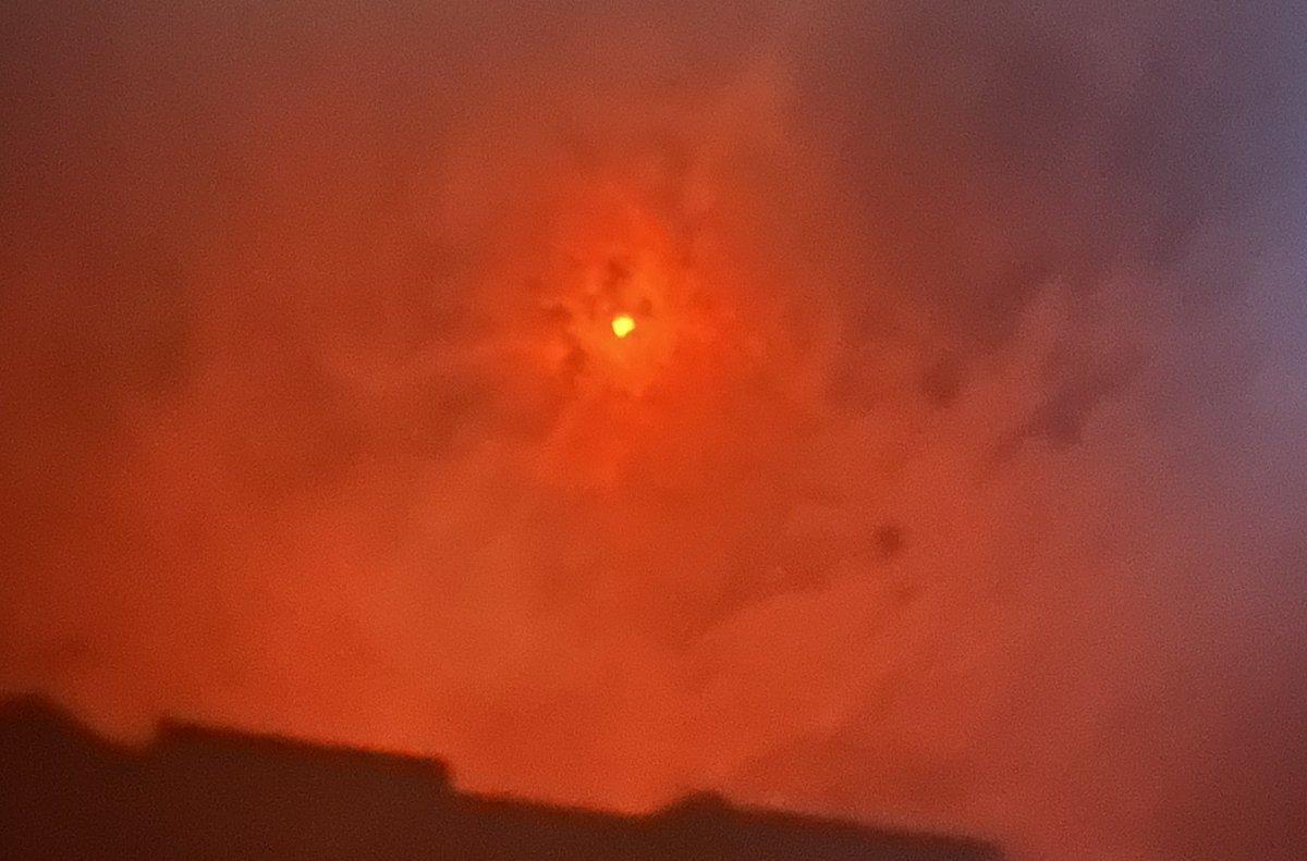 We’re elementary school teachers. Of course we’re going to scream with excitement as we watch the #SolarEclipse 🌒☀️💥 <a href="/_MsKenney/">Kelly Kenney</a>