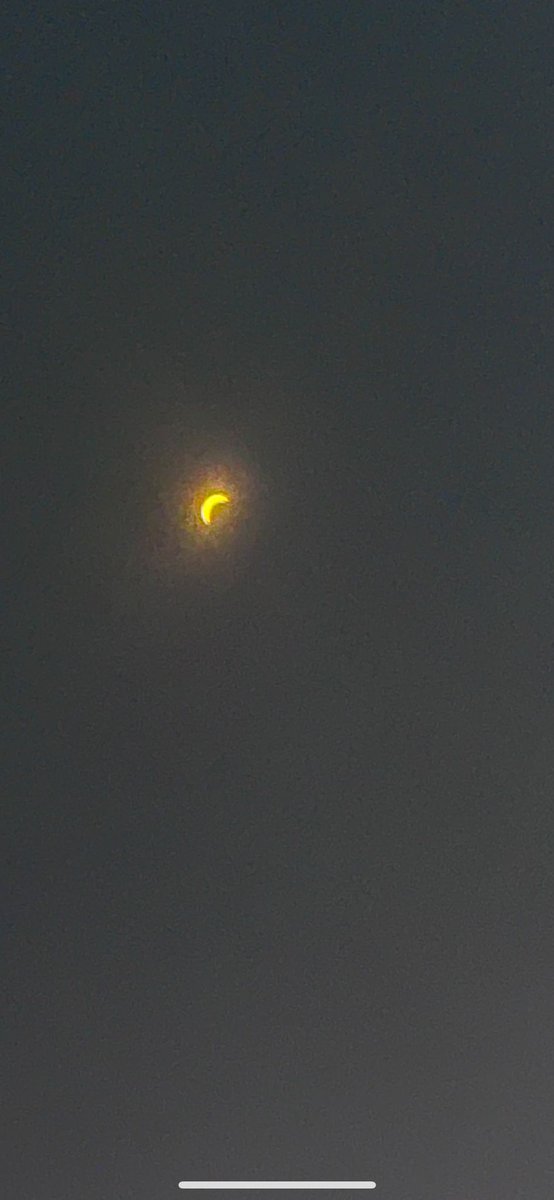 Bora Meraj tweet media