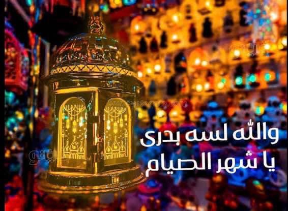 كل سنة وأنتم طيبين والخير والسعادة في بيوتكم وقلوبكم والامن والامان لمصر facebook.com/share/p/hHoJJu…