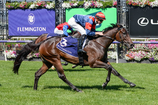 Mark Zahra will ride promising filly and last start Flemington winner Tobeornottobe in Saturday’s $1 million Percy Sykes Stakes at Randwick @GriffithsdeKock