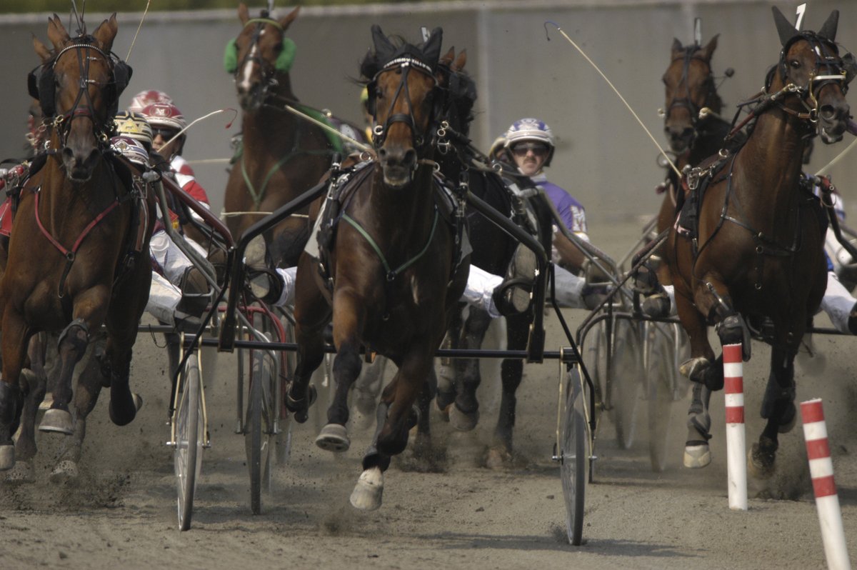 Breeders_Crown tweet picture