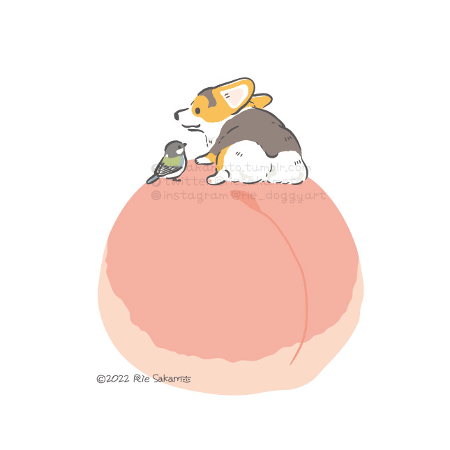 「fluffy food」 illustration images(Latest)