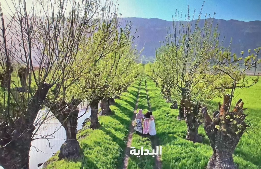 نهاية المسلسل… كلمة البداية.. كلك ابداع @NadineJaber بعد كل قسوة الحياة اللي قطعوا فيها.. صار في امل.. بداية امل لحياة جديدة.. بهنيكي 👏🏻🤍 @MaguyBouGhosn @marilyne_naaman ماغي و ماريلين و كل الكاست ابدعتوا..فخر لبنان و العرب .. مسلسل لن يتكرّر #ع_امل