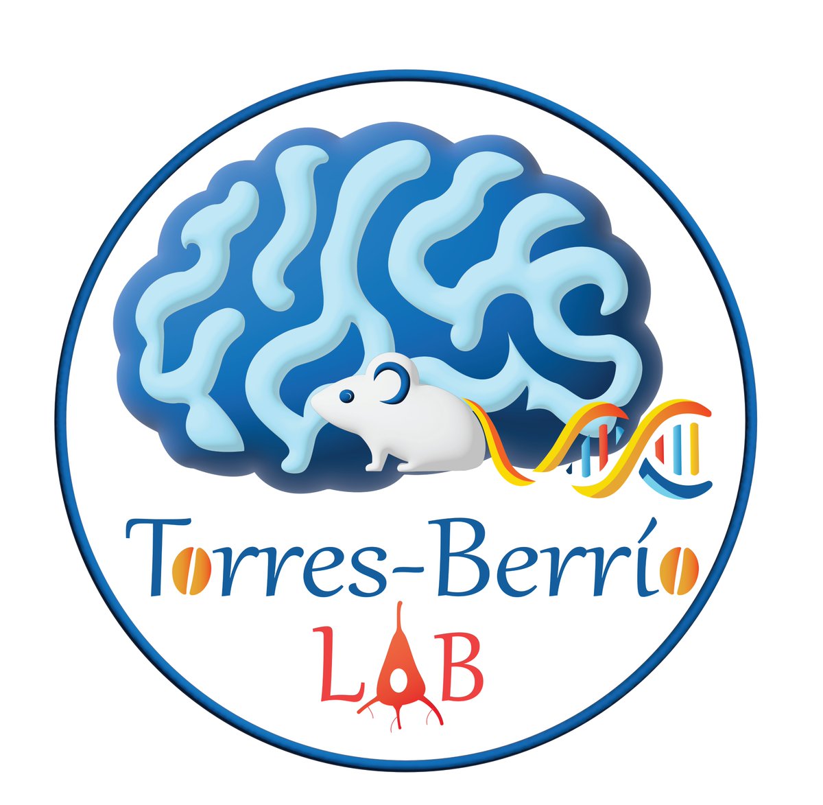 📢 It's time for my lab to continue growing! We are looking for exceptional postdoctoral candidates to direct projects involving epigenetic mechanisms associated with neurodevelopment and neuropsychiatric disorders. More info👇👇 tinyurl.com/NeuroATBLab