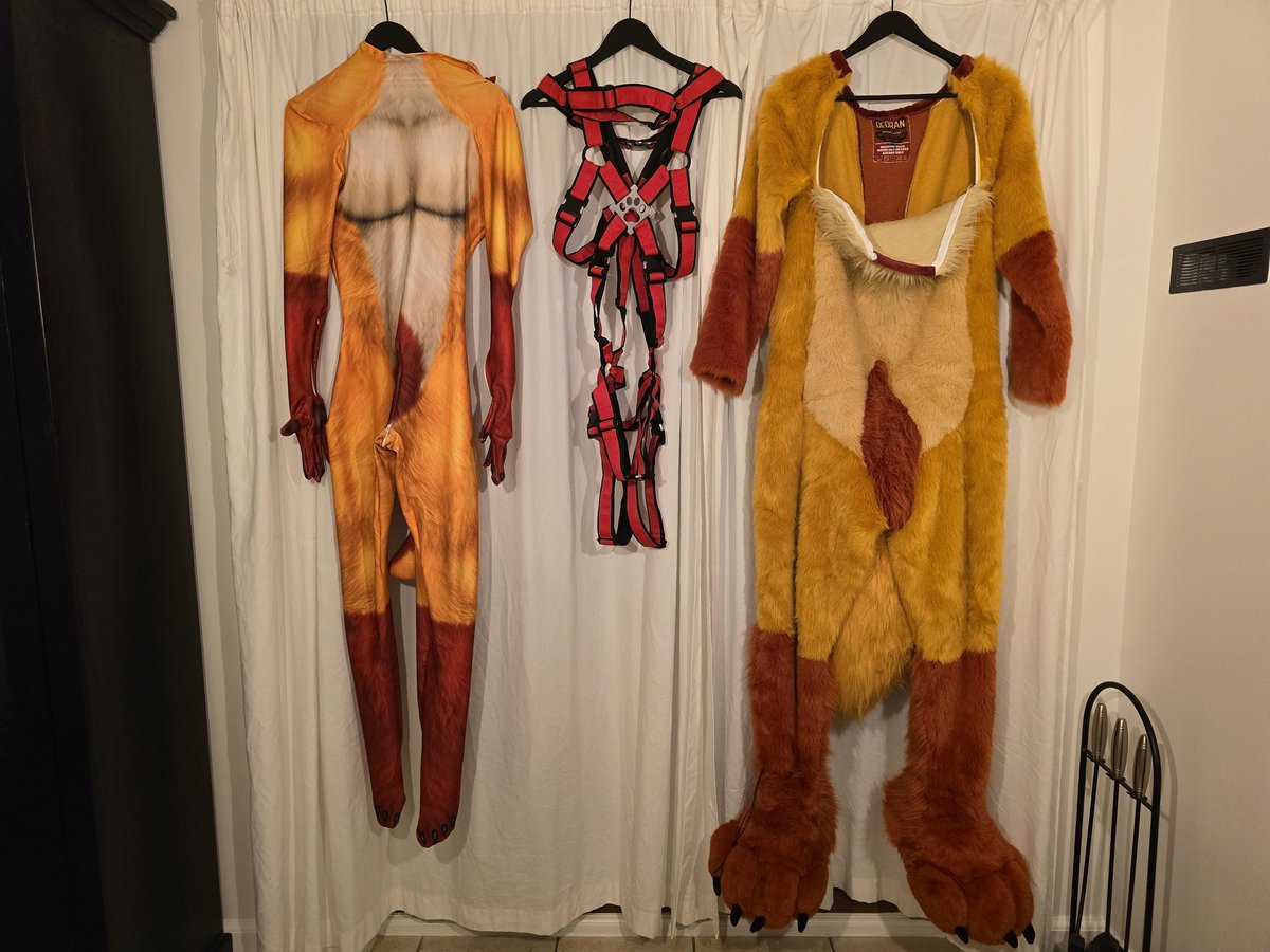 DedranManedWolf's tweet image. All set up for #PackWeek =D

With the work of @wildnorsewolf and my stuff from Mister S and ForFun 😈