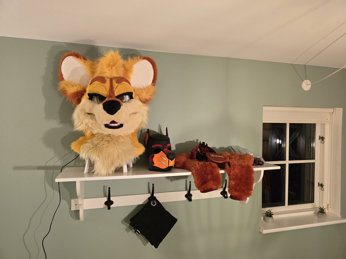 DedranManedWolf's tweet image. All set up for #PackWeek =D

With the work of @wildnorsewolf and my stuff from Mister S and ForFun 😈