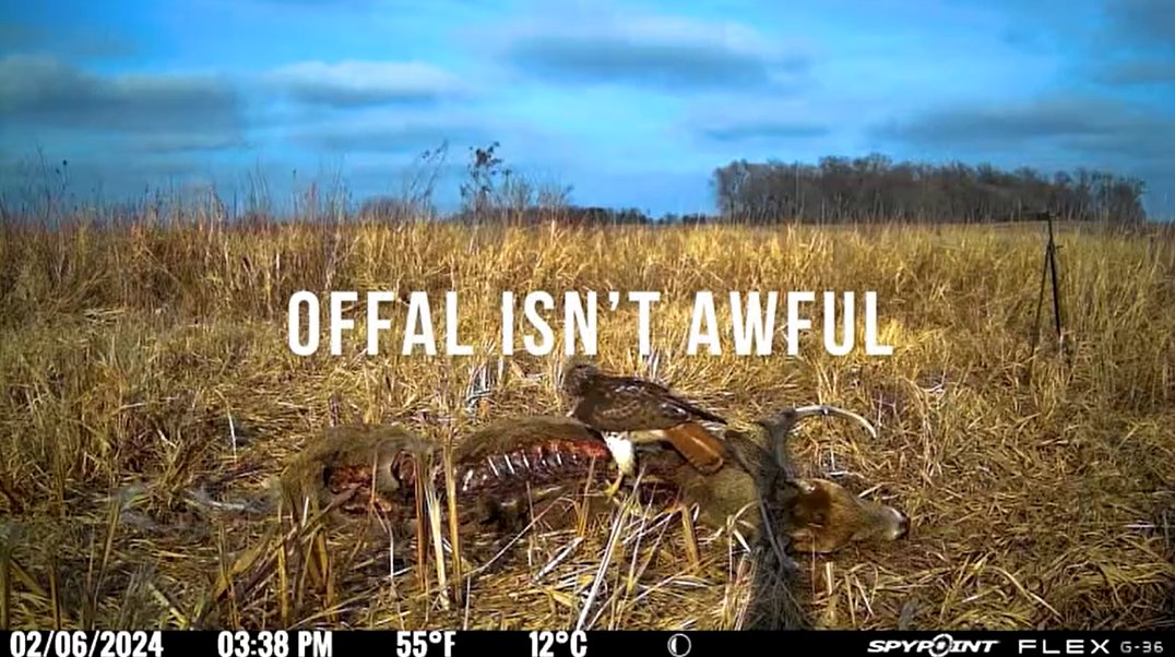 We are very excited to be featured on a recent episode of Pioneer PBS Prairie Sportsman! Check out the offal coverage starting at 15:30 🦌🏹📺📷
video.pioneer.org/video/dannys-d…