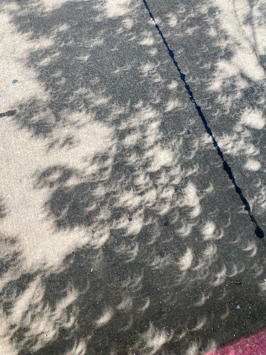 CHHS_Hannah's tweet photo. The astronomy students busted out the telescopes and enjoyed some great views while tracking the eclipse. #chhsastro https://t.co/nbyDqt0aFr