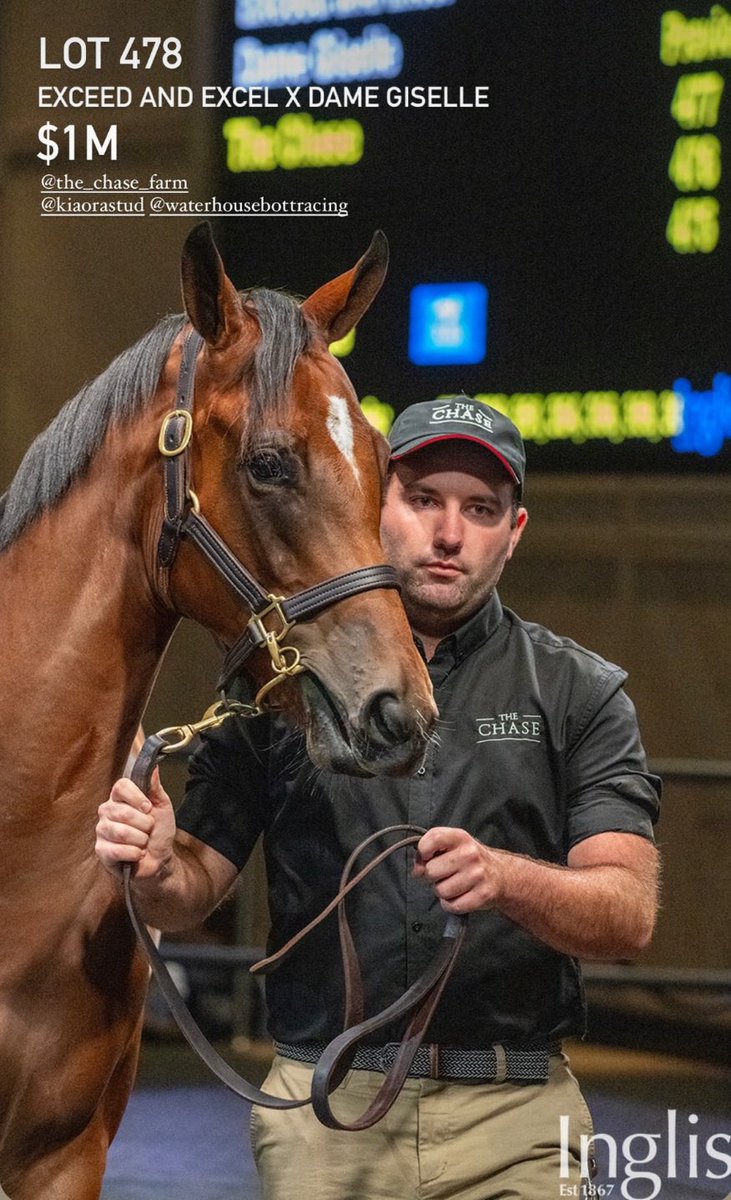 It was a fantastic @inglis_sales Easter for THE CHASE Our first $1,000,000 yearling sold & to top it off we finished the sale as the #2 vendor by Avg Thank you to our team for their hard work & to the buyers for their faith in our stock #ChaseTheDream