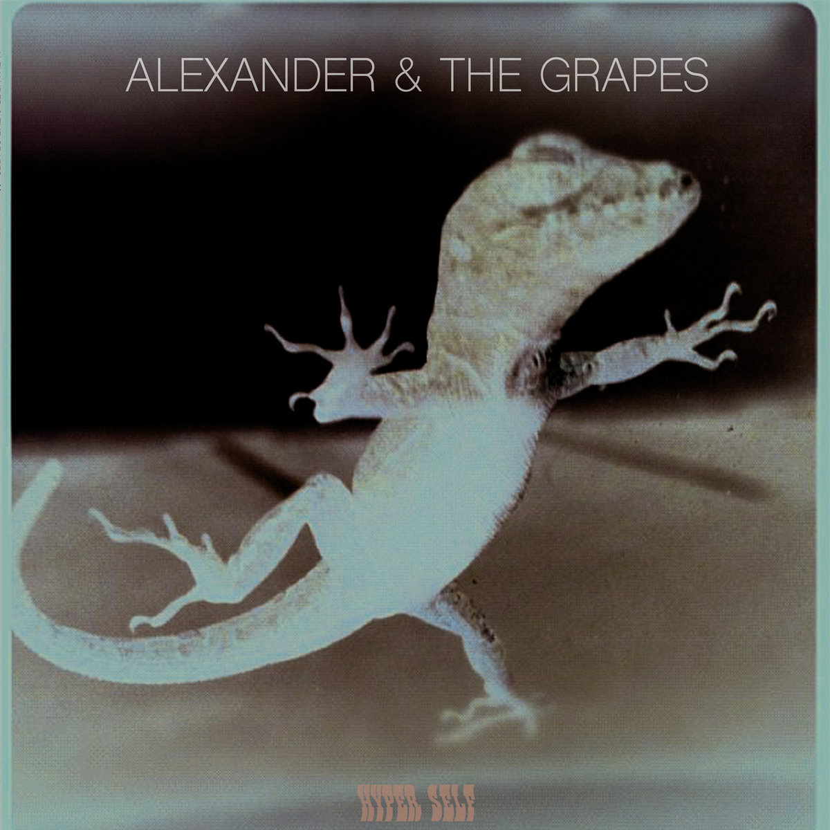 i am having one helluva time listening to Saint Petersburg Florida's own Alexander &amp; The Grapes, aka The Grapes