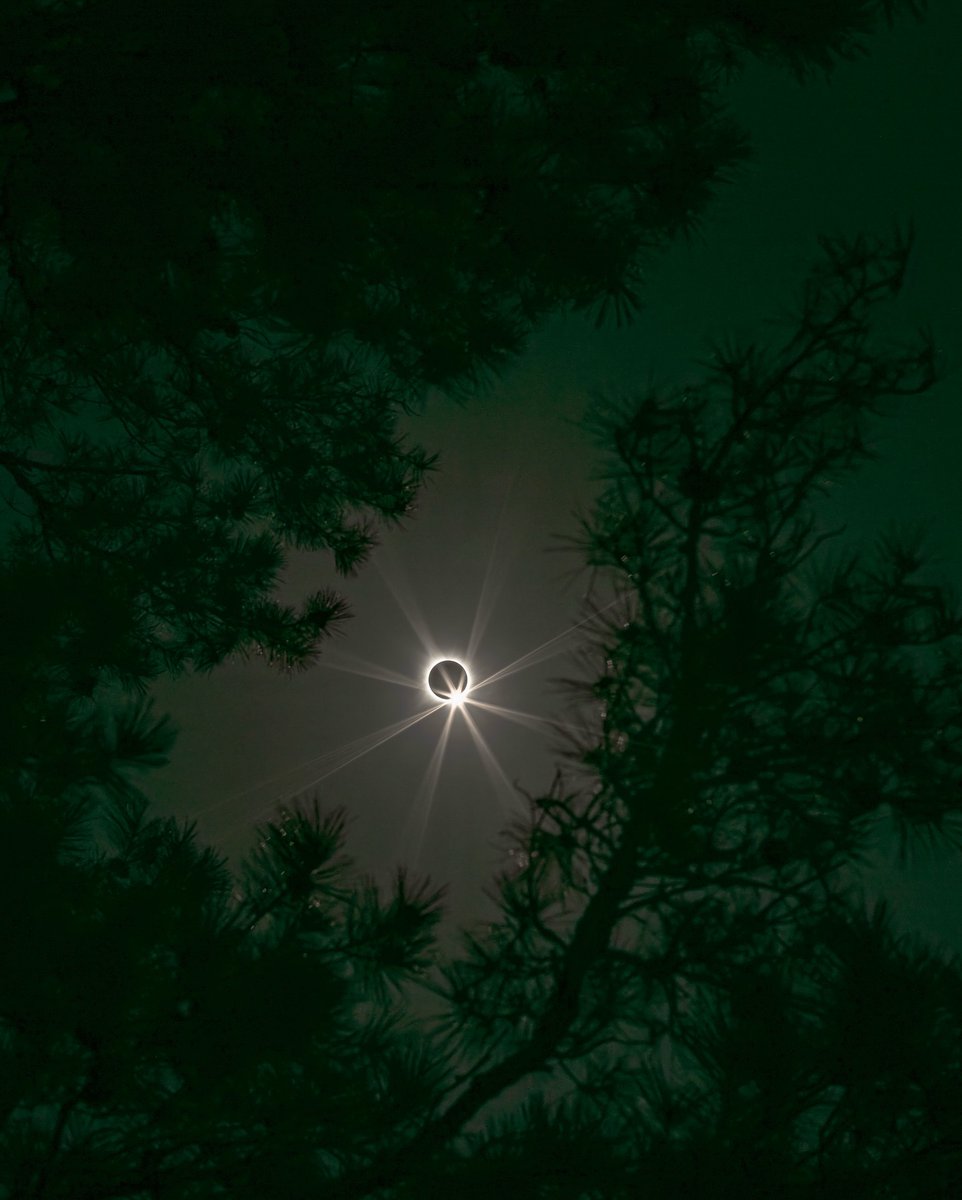 #Eclipse2024 from Petit Jean State Park