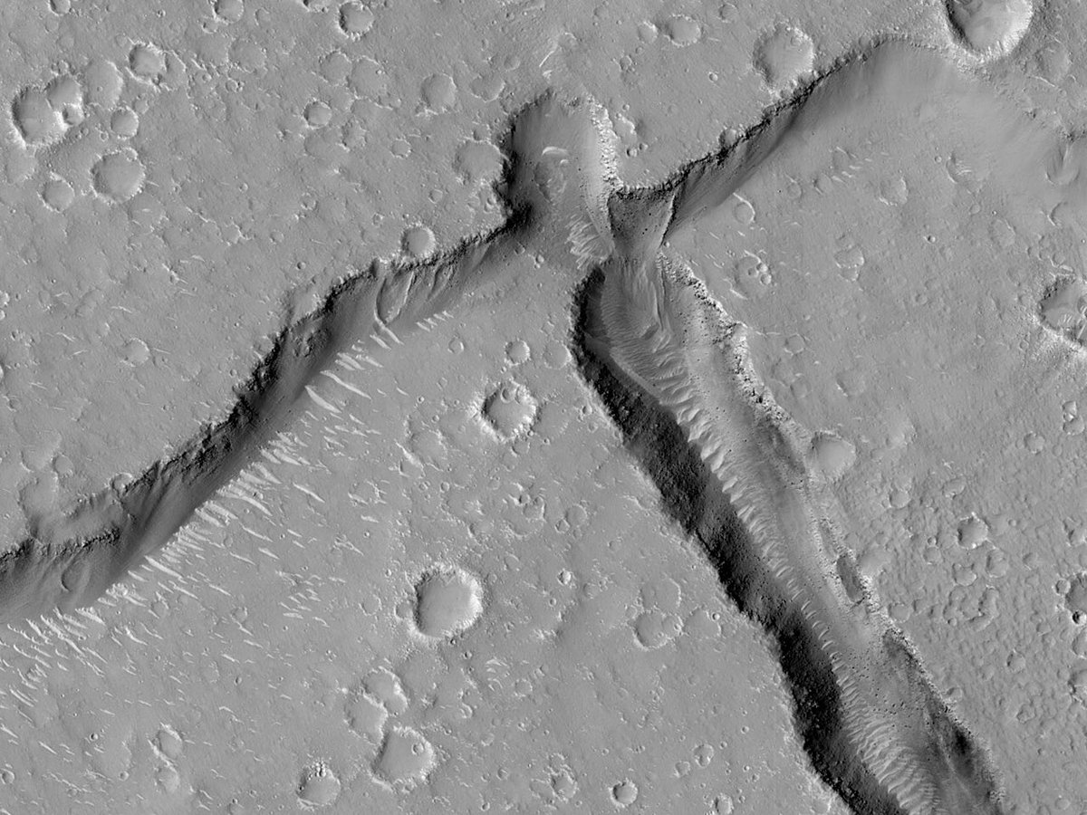 HiRISEIcelandic's tweet photo. HiPOD: Dælir á Utopia Planitia

númer: ESP_051781_2035
dagsetning myndatöku: 13. ágúst 2017
hæð yfir sjávarmáli: 286 km

https://t.co/fBKSvPgf7B
NASA/JPL-Caltech/UArizona
#Mars #NASA #Icelandic #íslenska https://t.co/GiumDQ5jAx